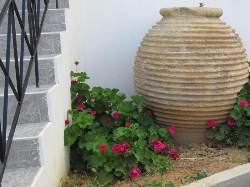 Emmanouela דירה